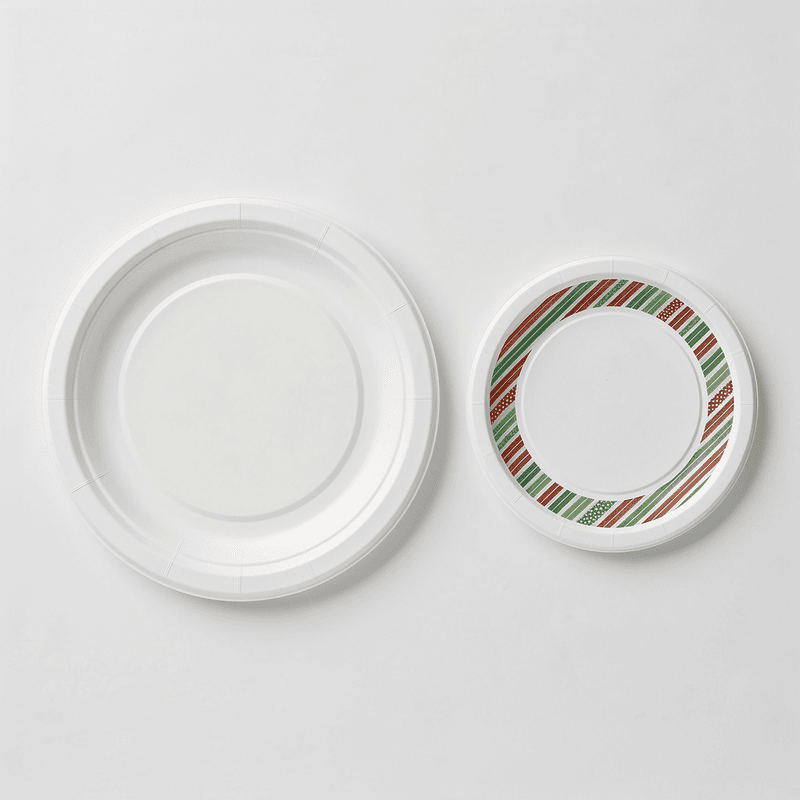 Paper Plates Photo #1