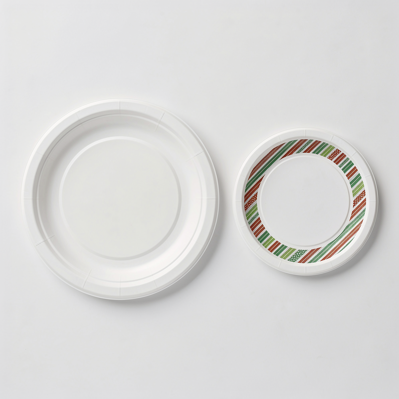 Paper Plates Photo #1