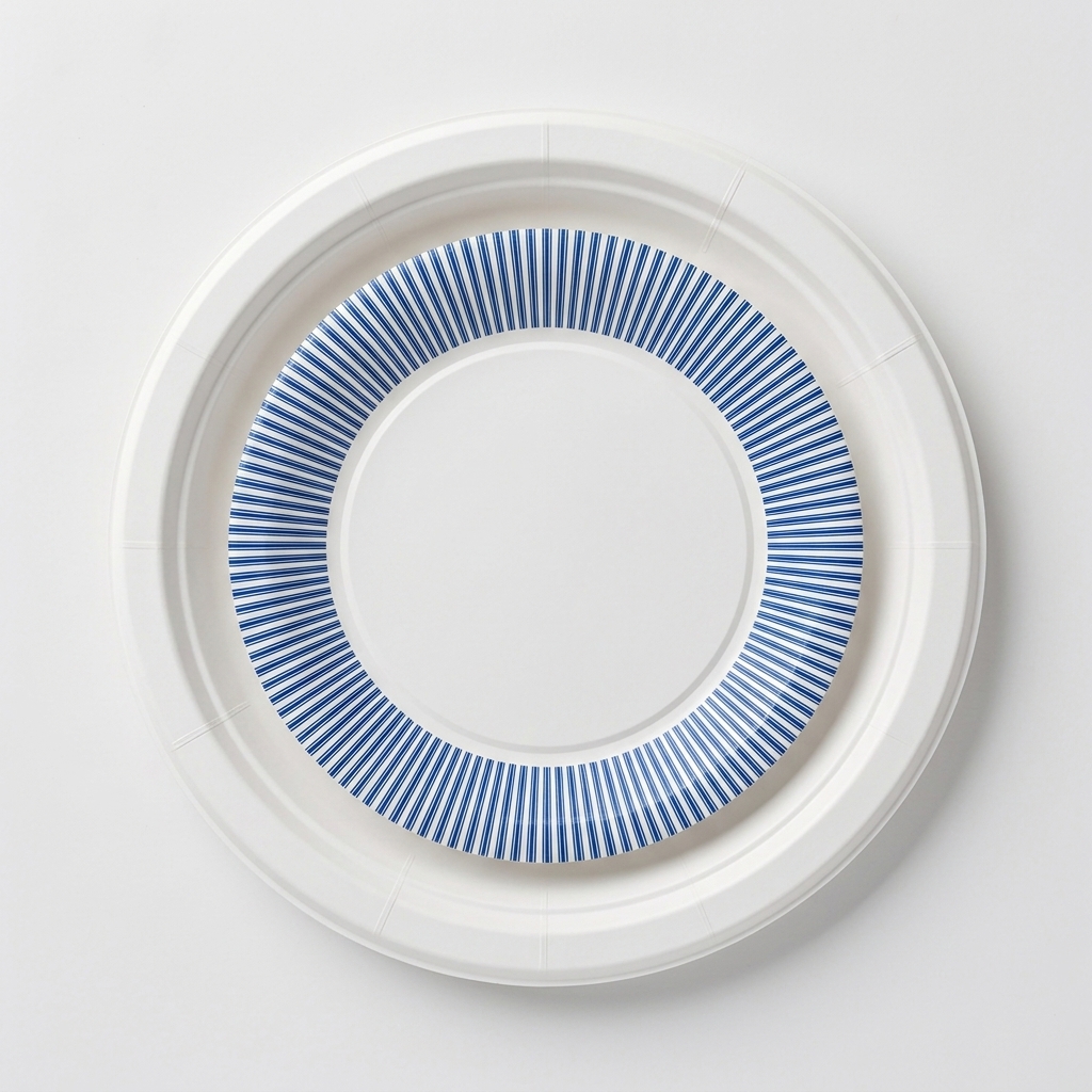 Paper Plates Photo #2